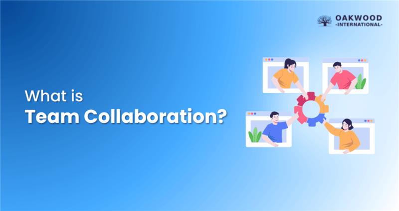 What is Team Collaboration