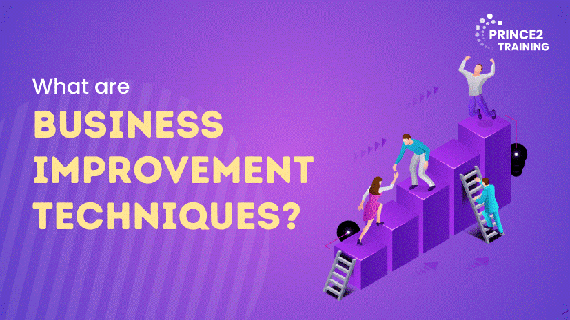 What are Business Improvement Techniques