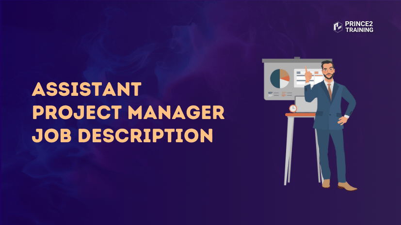 Assistant Project Manager Job Description