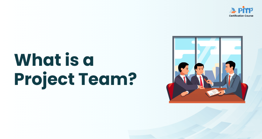 What is a Project Team