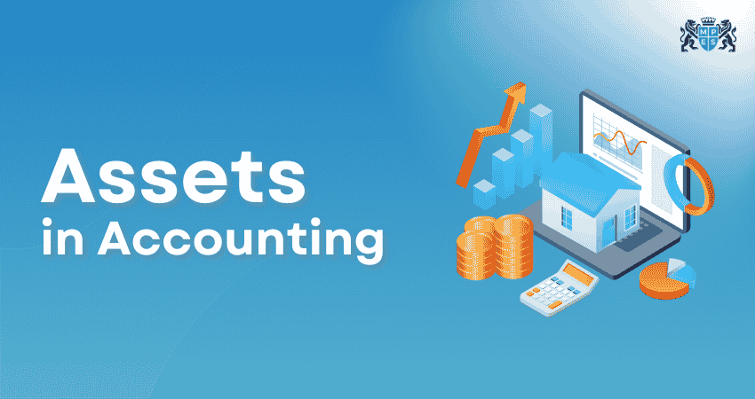 Assets in Accounting