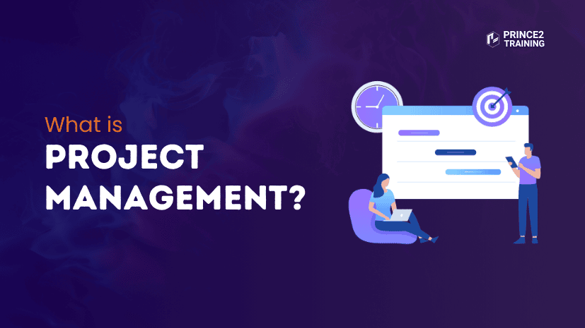 What is Project Management