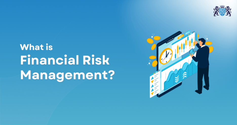 What is Financial Risk Management