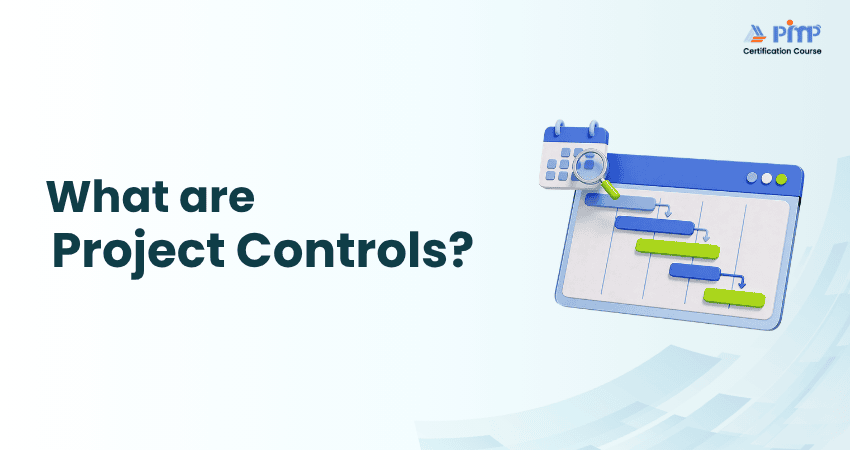 What are Project Controls