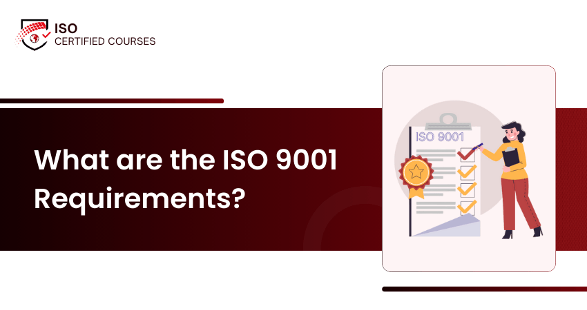 ISO 9001 Principles