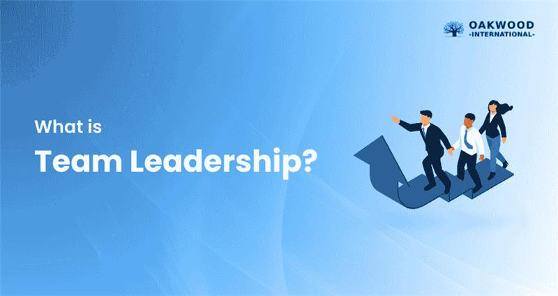 What is Team Leadership