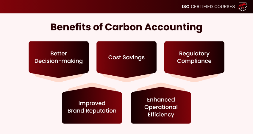 Benefits of Carbon Accounting