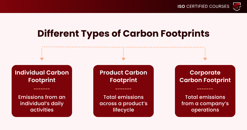 Different Types of Carbon Footprints