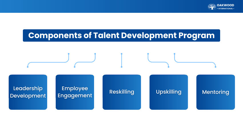 Key Components of a Talent Development Program