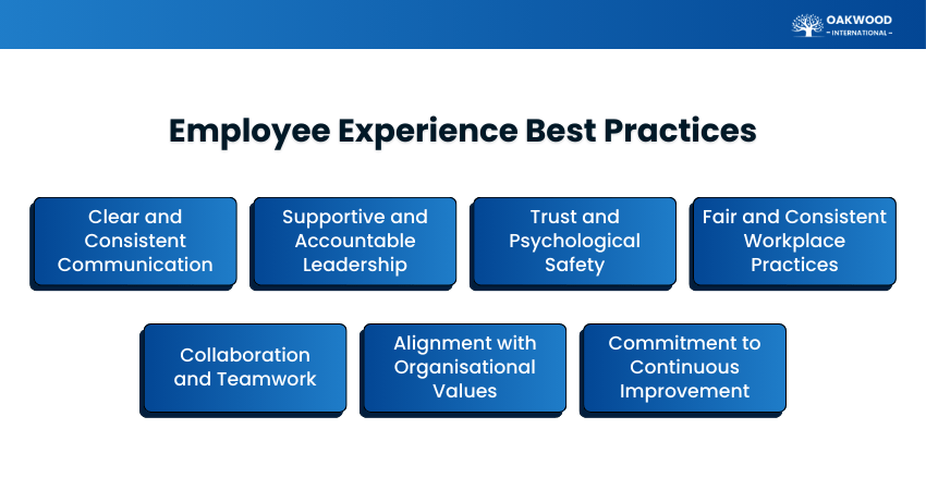 Employee Experience Best Practices