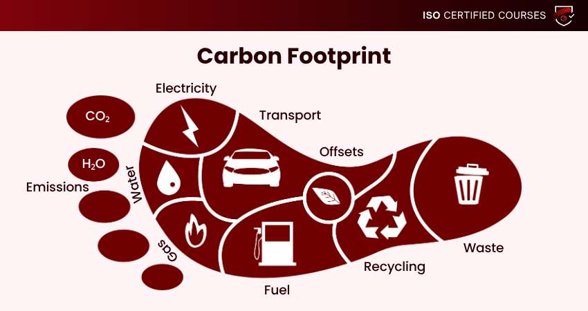 What is Carbon Footprint