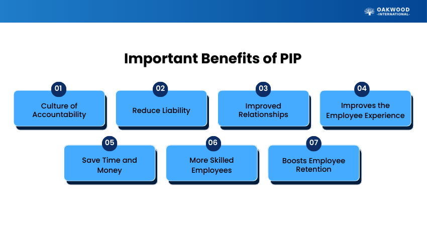 Important Benefits of PIP