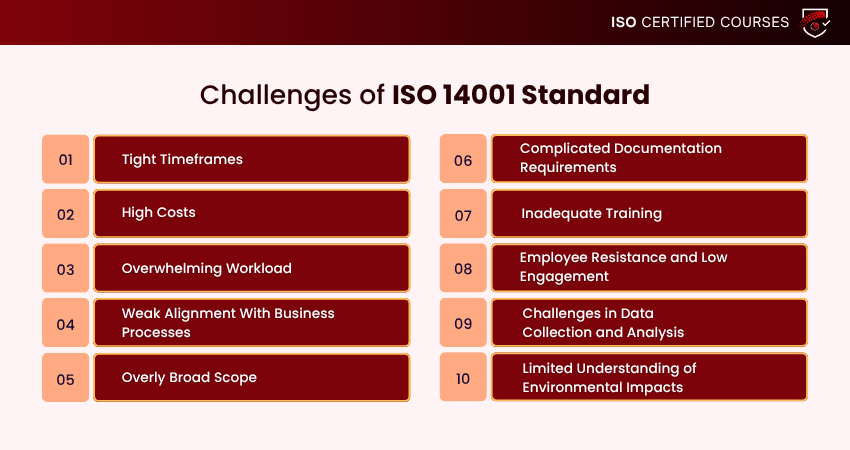 The Challenges of ISO 14001 Standard