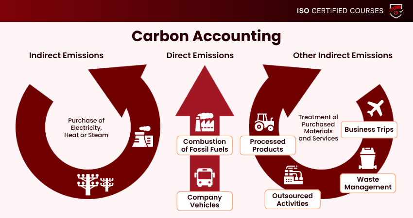 What is Carbon Accounting