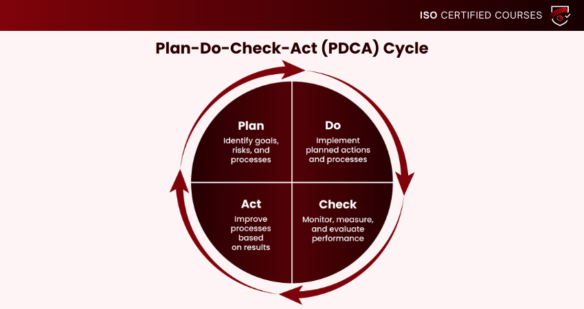 Plan-Do-Check-Act (PDCA) Cycle