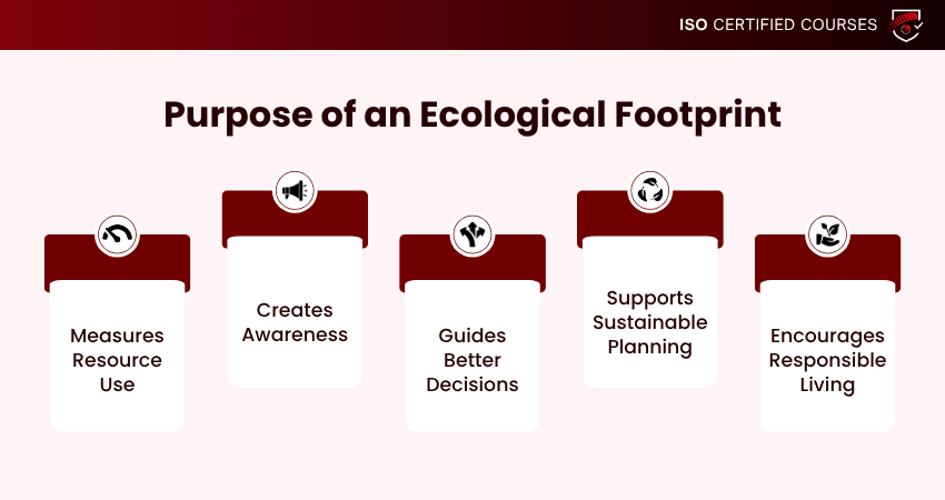 Purpose of an Ecological Footprint