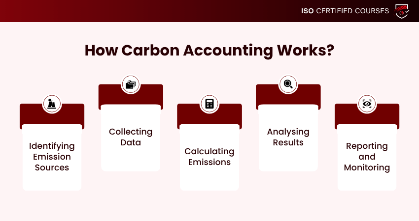 How Does Carbon Accounting Work