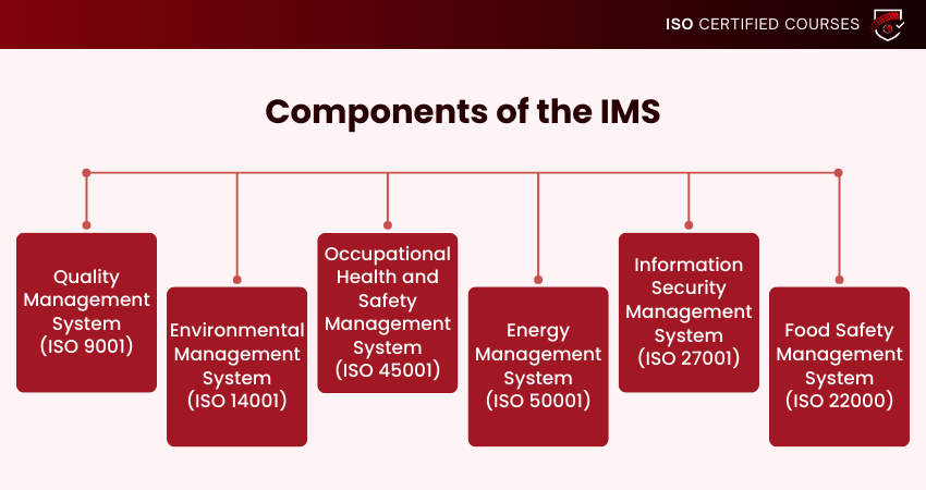 Components of the IMS