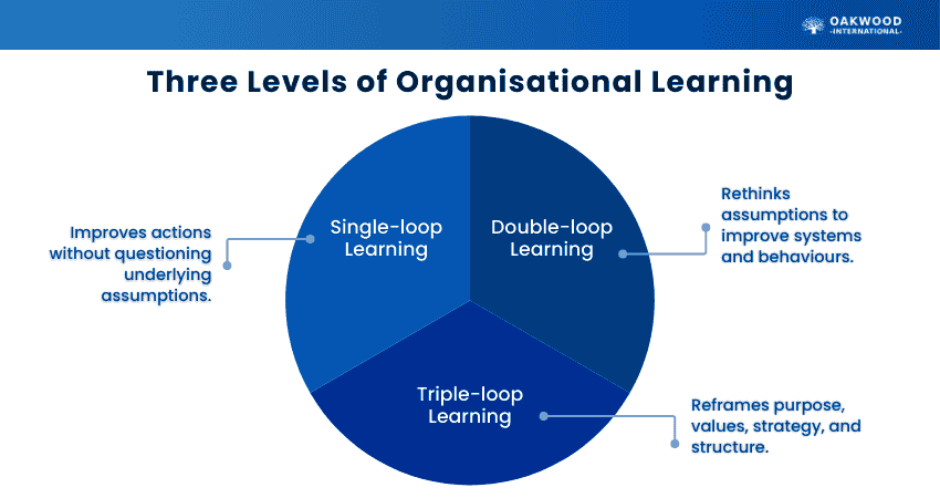 Levels of Organisational Learning