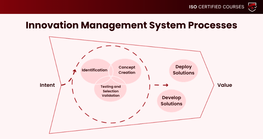 Innovation Management System Steps and Processes