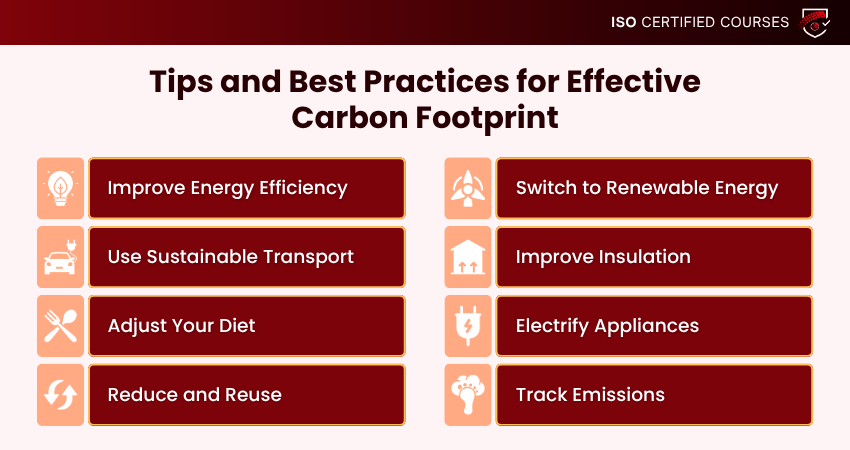 Carbon Footprint Tips and Best Practices