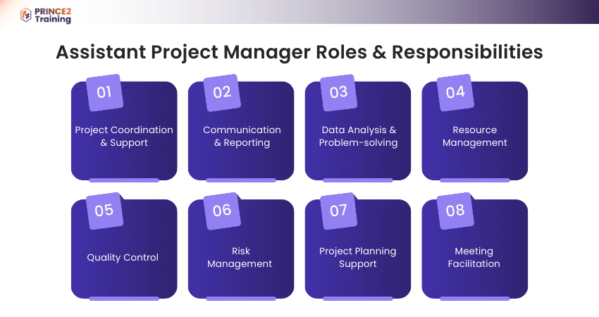 Assistant Project Manager Roles and Responsibilities